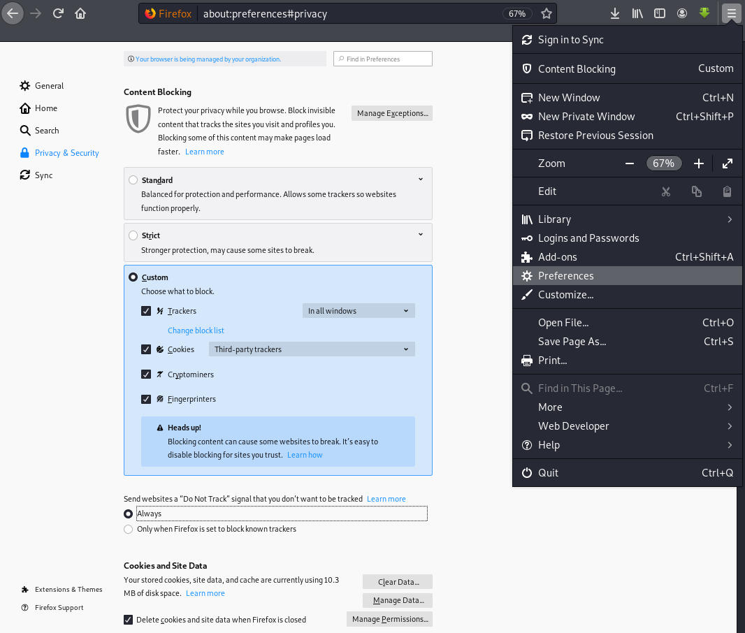 Web Browser Settings